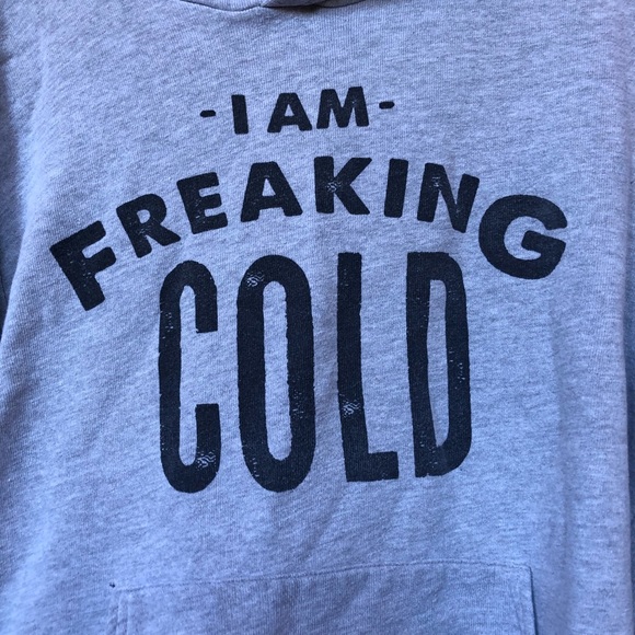 🥶‘ I Am Freaking Cold ‘ Hoodie🥶 - Picture 2 of 6